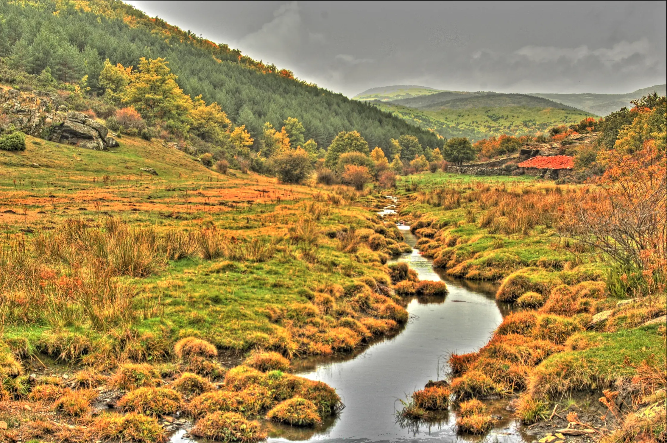 Parque Natural Hayedo de Tejera Negra