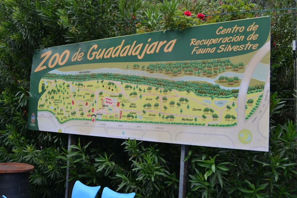 zoo de Guadalajara con niños