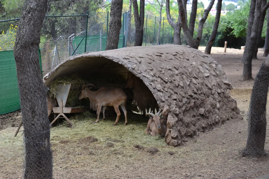 Ruta por el zoo de Guadalajara