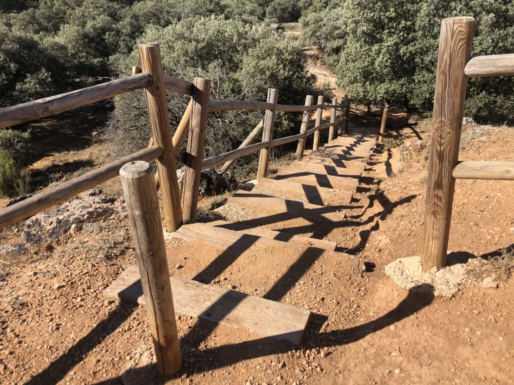 Ruta por el bosque de Valdenazar