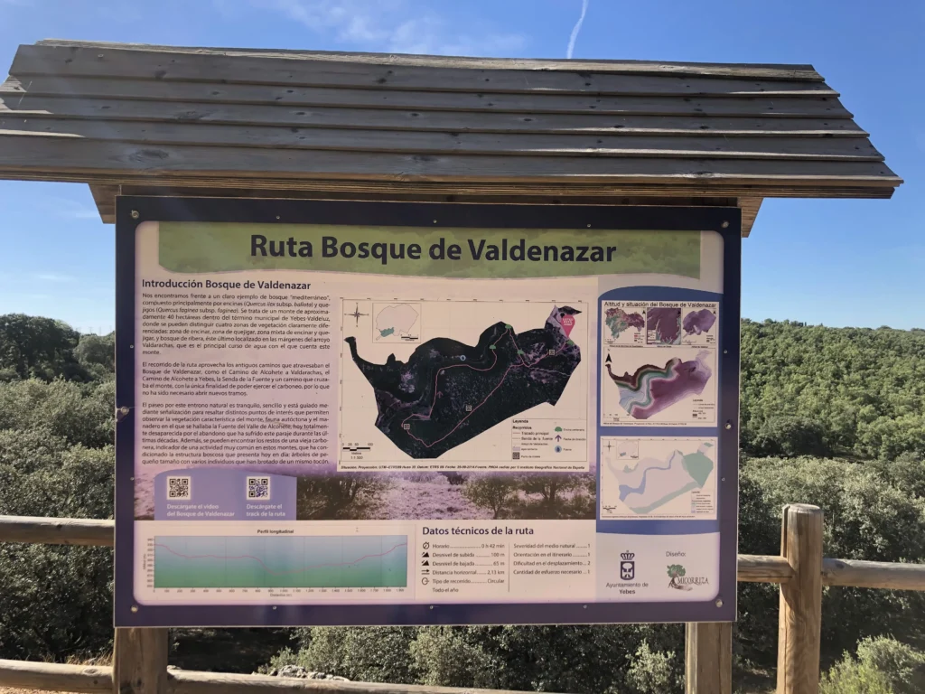 Mapa ruta por el Bosque de Valdenazar