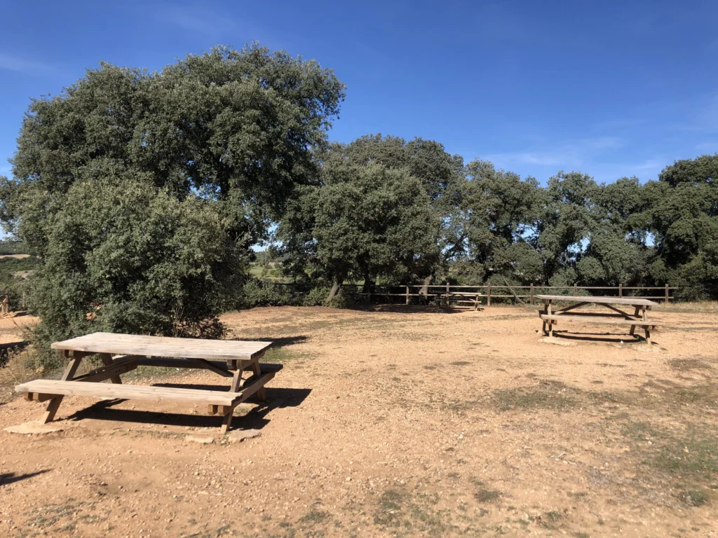 Merendero en el bosque de Valdenazar