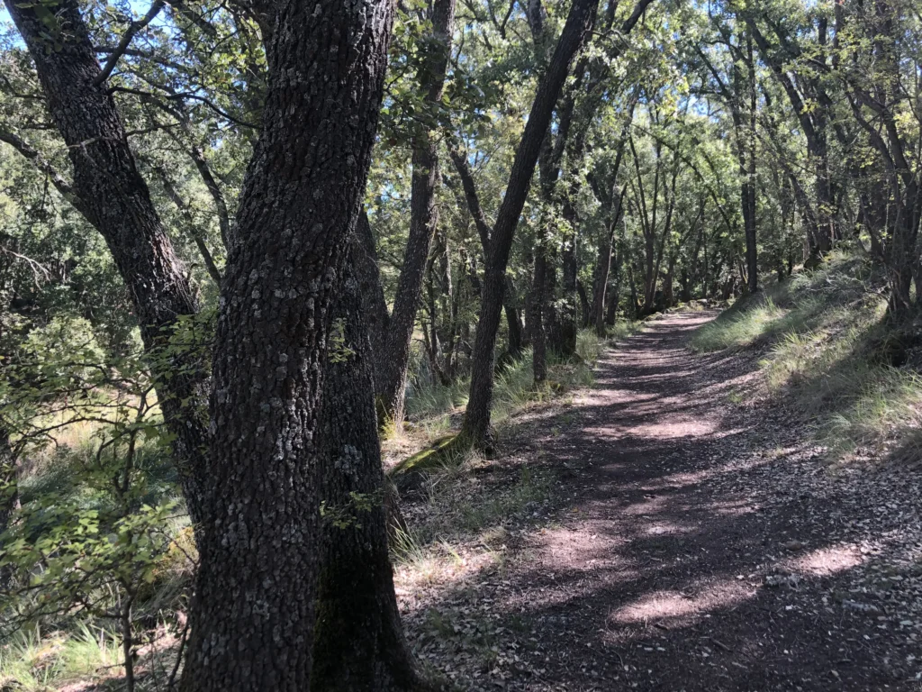 Sendero Valdeluz