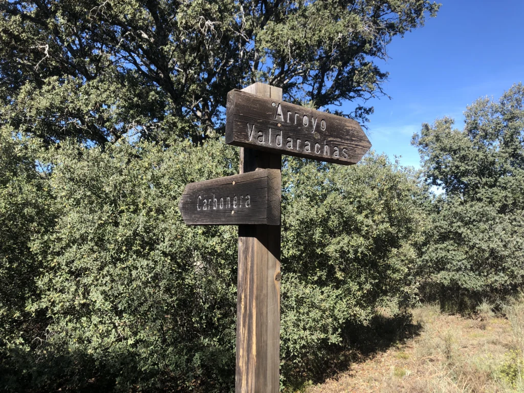 Senda Arroyo de Valdarachas en Bosque de Valdenazar