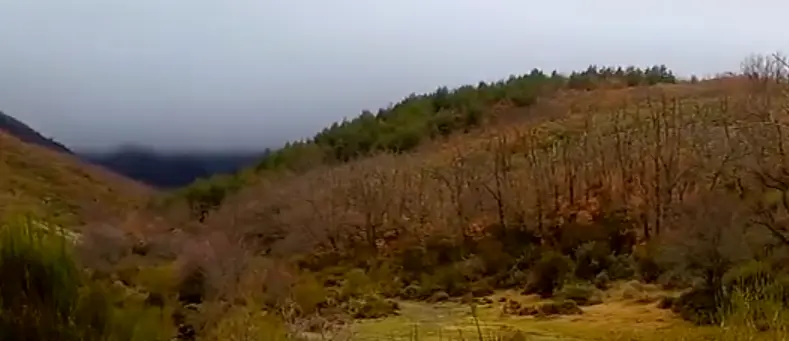 Senda de Carretas del Parque Natural Hayedo de Tejera Negra