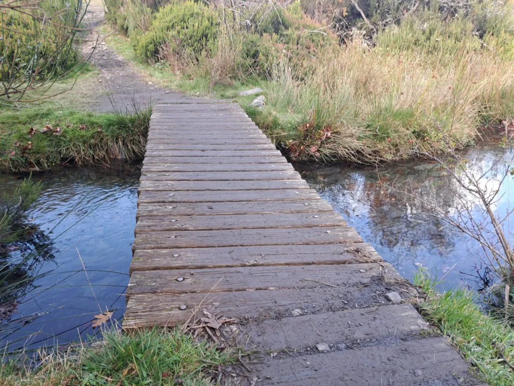 puente madera Hayedo de Tejera Negra