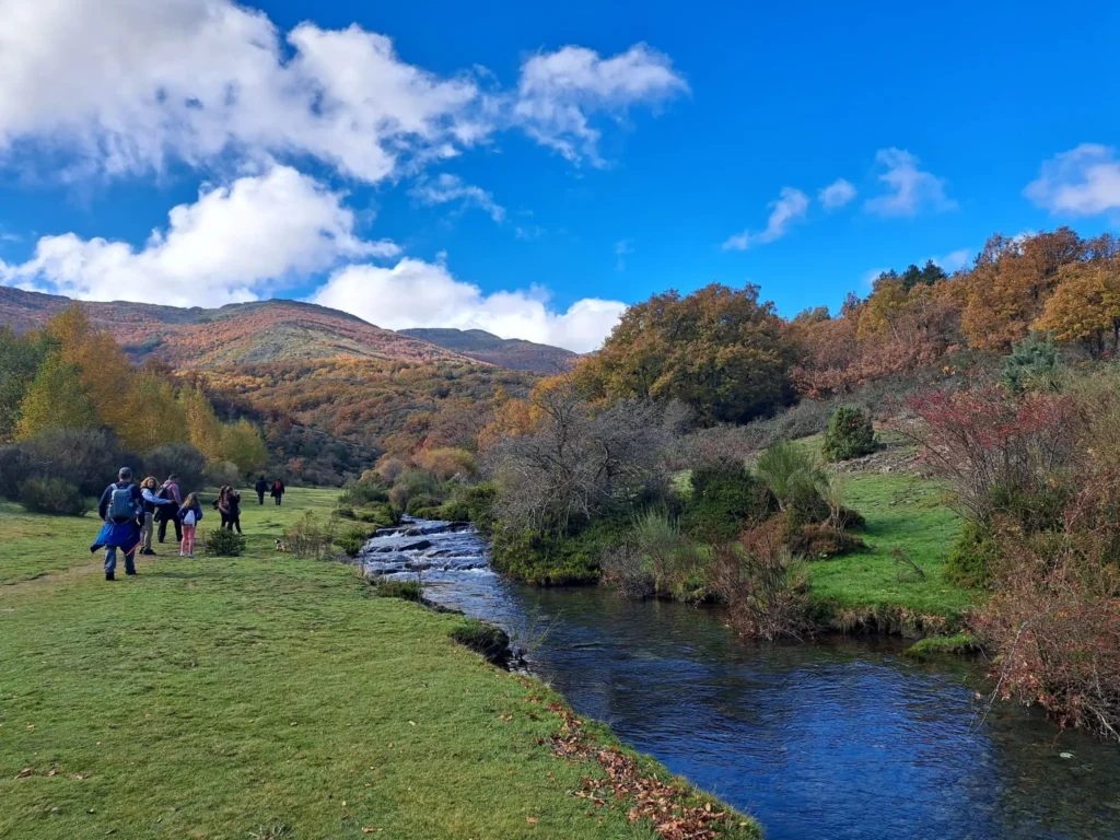 Río Lillas Tejera Negra