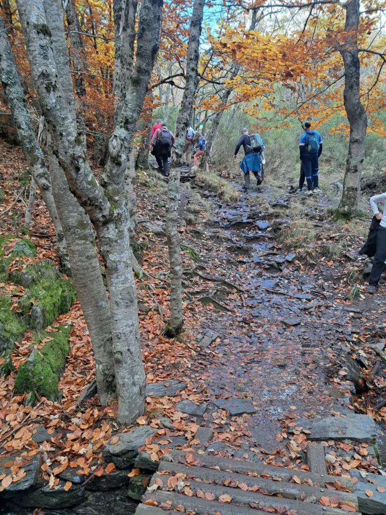 fotos durante la subida a la pradera del Hayedo de Tejera Negra