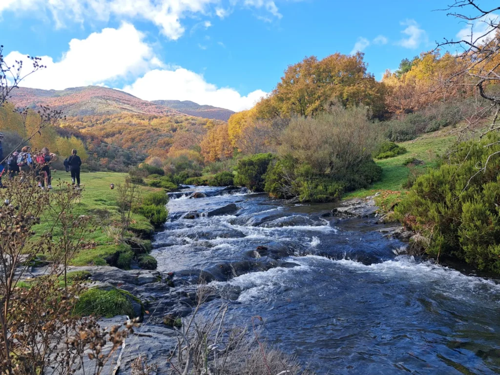 Cauce río Lillas en la senda de carretas